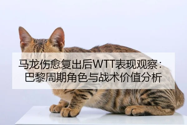 马龙伤愈复出后WTT表现观察：巴黎周期角色与战术价值分析