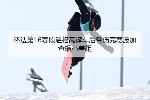 huan-fa-di-sai-duan-wen-ge-gao-shuai-che-hou-dai-shang-wan-sai-bo-jia-cha-suo-xiao-cha-ju-3-625.jpg
